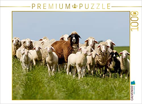 CALVENDO Puzzle Schafherde am Deich in Ostfriesland 1000 Teile Puzzle quer | 1000 Teile Lege-Größe 64 x 48 cm Foto-Puzzle für glückliche Stunden von CALVENDO