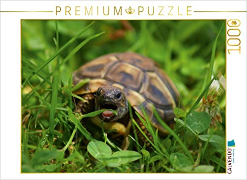 CALVENDO Puzzle Schildkröten Dinner 1000 Teile Puzzle quer | 1000 Teile Lege-Größe 64 x 48 cm Foto-Puzzle für glückliche Stunden von CALVENDO