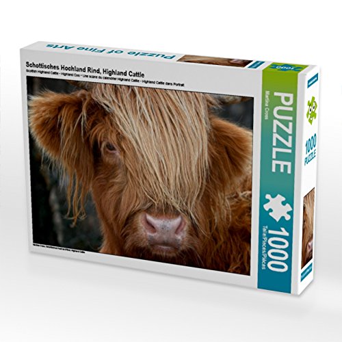 CALVENDO Puzzle Schottisches Hochland Rind, Highland Cattle 1000 Teile Puzzle quer | 1000 Teile Lege-Größe 64 x 48 cm Foto-Puzzle für glückliche Stunden CALVENDO Puzzle Schottisches Hochland Rind, Highland Cattle 1000 Teile Puzzle quer | 1000 Teile Lege-Größe 64 x 48 cm Foto-Puzzle für glückliche Stunden von CALVENDO