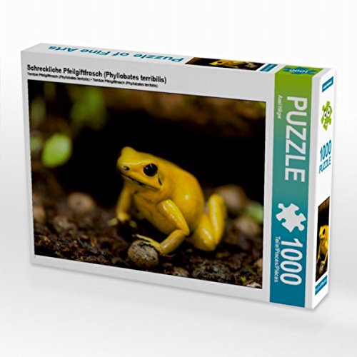 CALVENDO Puzzle Schreckliche Pfeilgiftfrosch (Phyllobates terribilis) 1000 Teile Lege-Größe 64 x 48 cm Foto-Puzzle Bild von Axel Hilger von CALVENDO