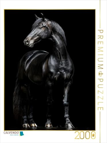 CALVENDO Puzzle Schwarze Eleganz - Pferde Rappe | Lege-Größe cm Foto-Puzzle für glückliche Stunden CALVENDO Puzzle Schwarze Eleganz - Pferde Rappe | Lege-Größe cm Foto-Puzzle für glückliche Stunden von CALVENDO