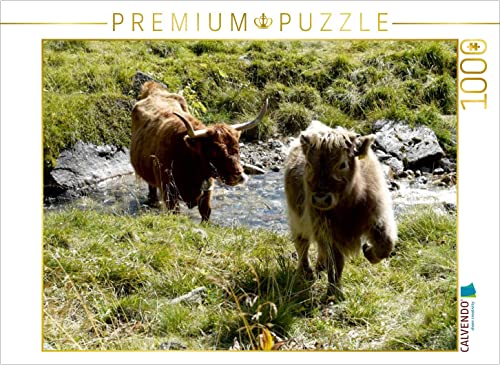 CALVENDO Puzzle Scottish Highland Kälber Spielen am Bach 1000 Teile Puzzle quer | 1000 Teile Lege-Größe 64 x 48 cm Foto-Puzzle für glückliche Stunden CALVENDO Puzzle Scottish Highland Kälber Spielen am Bach 1000 Teile Puzzle quer | 1000 Teile Lege-Größe 64 x 48 cm Foto-Puzzle für glückliche Stunden von CALVENDO