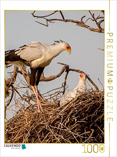 CALVENDO Puzzle Sekretär beim Nisten 1000 Teile Puzzle hoch | 1000 Teile Lege-Größe 48 x 64 cm Foto-Puzzle für glückliche Stunden CALVENDO Puzzle Sekretär beim Nisten 1000 Teile Puzzle hoch | 1000 Teile Lege-Größe 48 x 64 cm Foto-Puzzle für glückliche Stunden von CALVENDO