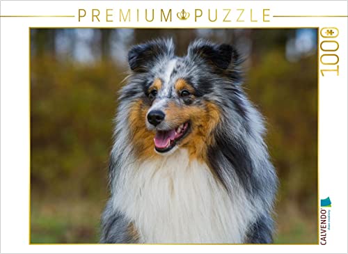 CALVENDO Puzzle Sheltie - Unwiderstehlich 1000 Teile Lege-Größe 64 x 48 cm Foto-Puzzle Bild von Sista-Tierfoto von CALVENDO