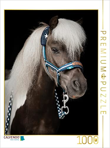 CALVENDO Puzzle Shetland Pony 1000 Teile Puzzle hoch | 1000 Teile Lege-Größe 48 x 64 cm Foto-Puzzle für glückliche Stunden von CALVENDO