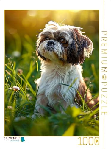 CALVENDO Puzzle Shih Tzu, soll ich Mich im Gras verstecken | 1000 Teile Lege-Größe 48 x 64 cm Foto-Puzzle für glückliche Stunden von CALVENDO