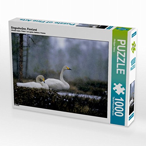 CALVENDO Puzzle Singschwäne. Finnland 1000 Teile Lege-Größe 64 x 48 cm Foto-Puzzle Bild von Philippe Henry CALVENDO Puzzle Singschwäne. Finnland 1000 Teile Lege-Größe 64 x 48 cm Foto-Puzzle Bild von Philippe Henry von CALVENDO
