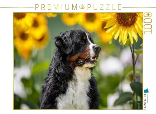 CALVENDO Puzzle Sonnenblumenzeit | 1000 Teile Lege-Größe 64 x 48 cm Foto-Puzzle für glückliche Stunden von CALVENDO