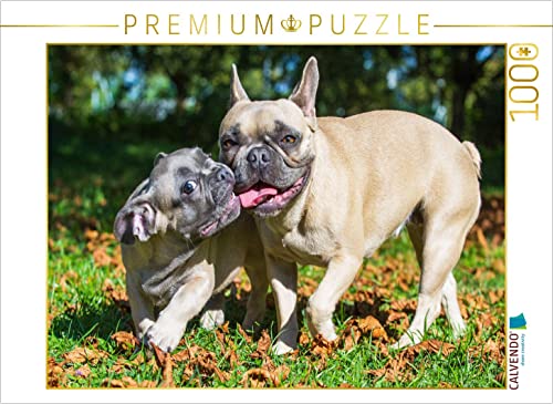 CALVENDO Puzzle Spiel mit Mama 1000 Teile Lege-Größe 64 x 48 cm Foto-Puzzle Bild von Sista-Tierfoto CALVENDO Puzzle Spiel mit Mama 1000 Teile Lege-Größe 64 x 48 cm Foto-Puzzle Bild von Sista-Tierfoto von CALVENDO