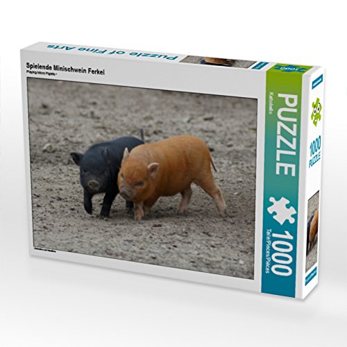 CALVENDO Puzzle Spielende Minischwein Ferkel 1000 Teile Puzzle quer | Lege-Größe cm Foto-Puzzle für glückliche Stunden CALVENDO Puzzle Spielende Minischwein Ferkel 1000 Teile Puzzle quer | Lege-Größe cm Foto-Puzzle für glückliche Stunden von CALVENDO