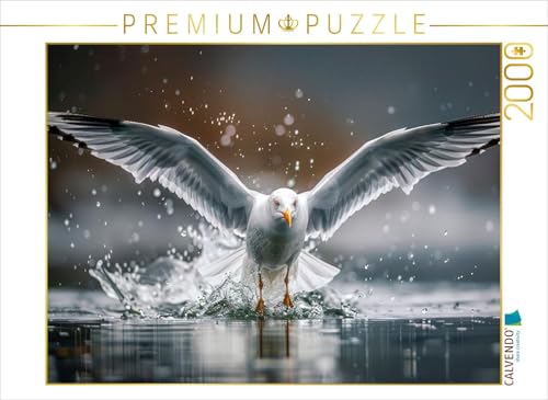 CALVENDO Puzzle Start oder Landung | 2000 Teile Lege-Größe 90 x 67 cm Foto-Puzzle für glückliche Stunden von CALVENDO