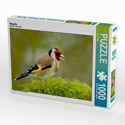 CALVENDO Puzzle Stieglitz 1000 Teile Lege-Größe 64 x 48 cm Foto-Puzzle Bild von Lutz Klapp von CALVENDO