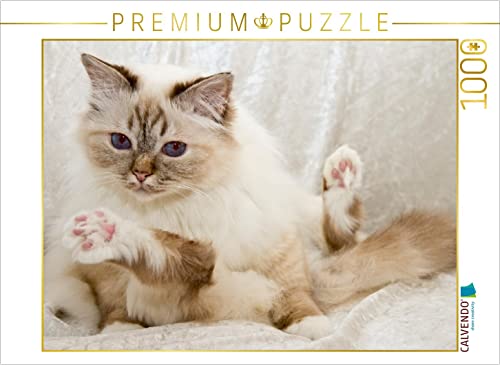 CALVENDO Puzzle Süße Heilige Birma Katze 1000 Teile Puzzle quer | 1000 Teile Lege-Größe 64 x 48 cm Foto-Puzzle für glückliche Stunden von CALVENDO