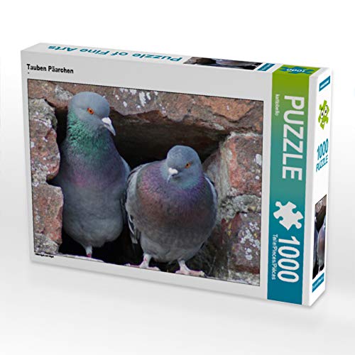 CALVENDO Puzzle Tauben Päarchen 1000 Teile Puzzle quer | 1000 Teile Lege-Größe 64 x 48 cm Foto-Puzzle für glückliche Stunden CALVENDO Puzzle Tauben Päarchen 1000 Teile Puzzle quer | 1000 Teile Lege-Größe 64 x 48 cm Foto-Puzzle für glückliche Stunden von CALVENDO