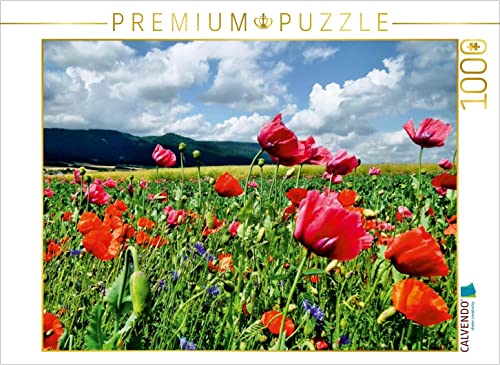 CALVENDO Puzzle Traumhafte Mohnblüte in Germerode am Meißner 1000 Teile Puzzle quer | Lege-Größe cm Foto-Puzzle für glückliche Stunden CALVENDO Puzzle Traumhafte Mohnblüte in Germerode am Meißner 1000 Teile Puzzle quer | Lege-Größe cm Foto-Puzzle für glückliche Stunden von CALVENDO