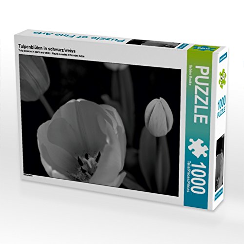 CALVENDO Puzzle Tulpenblüten in schwarz/Weiss 1000 Teile Puzzle quer | 1000 Teile Lege-Größe 64 x 48 cm Foto-Puzzle für glückliche Stunden CALVENDO Puzzle Tulpenblüten in schwarz/Weiss 1000 Teile Puzzle quer | 1000 Teile Lege-Größe 64 x 48 cm Foto-Puzzle für glückliche Stunden von CALVENDO