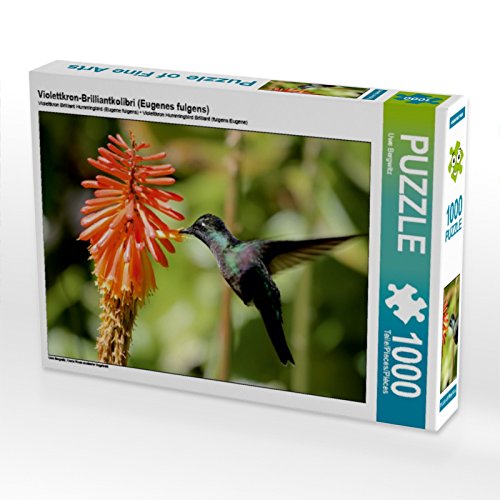 CALVENDO Puzzle Violettkron-Brilliantkolibri (Eugenes fulgens) 1000 Teile Lege-Größe 64 x 48 cm Foto-Puzzle Bild von Uwe Bergwitz von CALVENDO