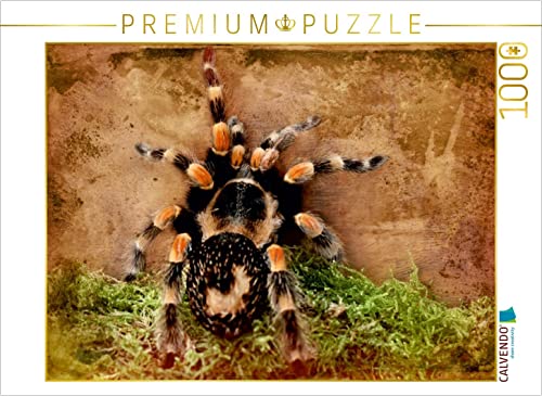 CALVENDO Puzzle Vogelspinne 1000 Teile Puzzle quer | Lege-Größe cm Foto-Puzzle für glückliche Stunden CALVENDO Puzzle Vogelspinne 1000 Teile Puzzle quer | Lege-Größe cm Foto-Puzzle für glückliche Stunden von CALVENDO