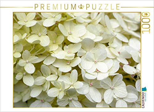 CALVENDO Puzzle Weiße Hortensie 1000 Teile Puzzle quer | Lege-Größe cm Foto-Puzzle für glückliche Stunden CALVENDO Puzzle Weiße Hortensie 1000 Teile Puzzle quer | Lege-Größe cm Foto-Puzzle für glückliche Stunden von CALVENDO