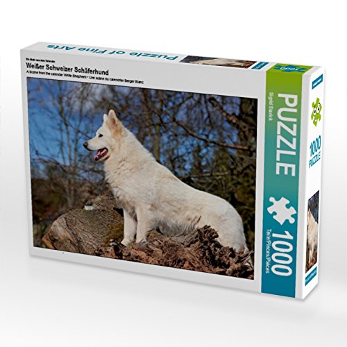 CALVENDO Puzzle EIN Motiv aus dem Kalender Weißer Schweizer Schäferhund 1000 Teile Puzzle quer | 1000 Teile Lege-Größe 64 x 48 cm Foto-Puzzle für glückliche Stunden von CALVENDO