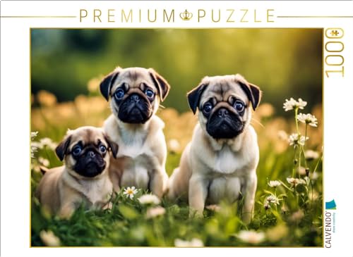 CALVENDO Puzzle Welpen auf Einer Wiese | 1000 Teile Lege-Größe 64 x 48 cm Foto-Puzzle für glückliche Stunden CALVENDO Puzzle Welpen auf Einer Wiese | 1000 Teile Lege-Größe 64 x 48 cm Foto-Puzzle für glückliche Stunden von CALVENDO