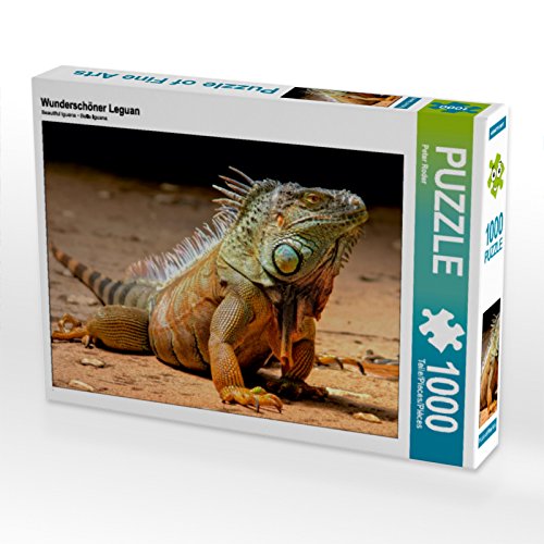 CALVENDO Puzzle Wunderschöner Leguan 1000 Teile Lege-Größe 64 x 48 cm Foto-Puzzle Bild von Peter Roder von CALVENDO