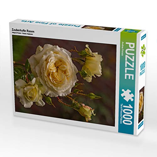 CALVENDO Puzzle Zauberhafte Rosen 1000 Teile Puzzle quer | 1000 Teile Lege-Größe 64 x 48 cm Foto-Puzzle für glückliche Stunden CALVENDO Puzzle Zauberhafte Rosen 1000 Teile Puzzle quer | 1000 Teile Lege-Größe 64 x 48 cm Foto-Puzzle für glückliche Stunden von CALVENDO