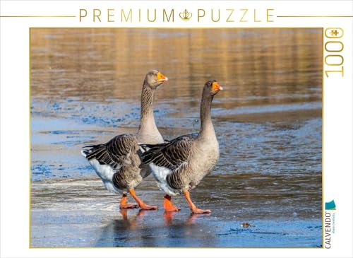 CALVENDO Puzzle Zwei Graugänse | 1000 Teile Lege-Größe 64 x 48 cm Foto-Puzzle für glückliche Stunden von CALVENDO