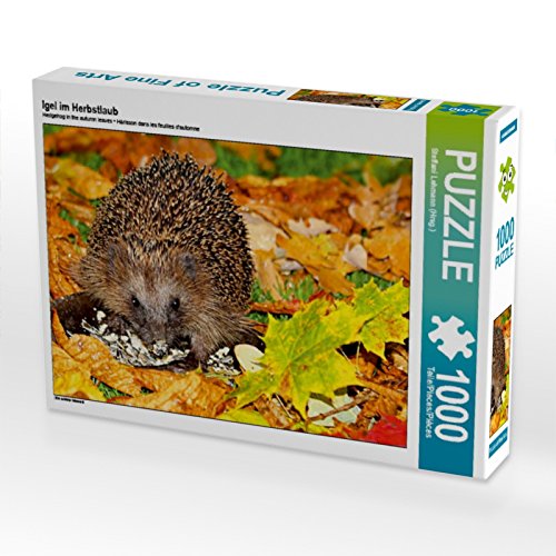 Igel im Herbstlaub 1000 Teile Puzzle quer von CALVENDO