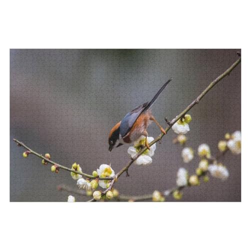 Puzzle für Erwachsene und Kinder ab 14 Jahren, 1000 StüCkOne Bird, White Plum Flowers, twigsLernspielzeug FüR Kinder 75x50Holz von CARGUS