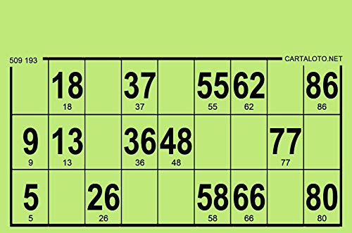 CARTALOTO-1000 Loto-Kartons, 80 g, Standardformat, Farbe: Grün, GTPJ1000-03, Mehrfarbig von CARTALOTO