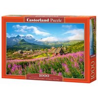 CASTORLAND C-104512-2 Hala Gsienicowa, Tatras, Poland, Puzzle 1000 Teile CASTORLAND C-104512-2 Hala Gsienicowa, Tatras, Poland, Puzzle 1000 Teile von CASTORLAND