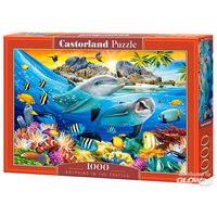 CASTORLAND C-104611-2 the Tropics Puzzle 1000 Teile [44 Dolphins CASTORLAND C-104611-2 the Tropics Puzzle 1000 Teile [44 Dolphins von CASTORLAND