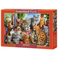 CASTORLAND C-200726-2 House of Cats, Puzzle 2000 Teile CASTORLAND C-200726-2 House of Cats, Puzzle 2000 Teile von CASTORLAND