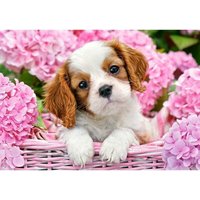 Castorland B-52233-2 Pup in Pink Flowers, Puzzle 500 Teile Castorland B-52233-2 Pup in Pink Flowers, Puzzle 500 Teile von CASTORLAND