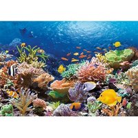 Castorland C-101511-2 Coral Reef Fishes,Puzzle 1000 Teile von CASTORLAND