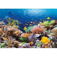 Castorland C-101511-2 Coral Reef Fishes,Puzzle 1000 Teile Castorland C-101511-2 Coral Reef Fishes,Puzzle 1000 Teile von CASTORLAND