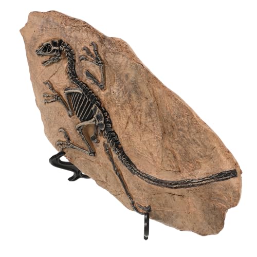 CAXUSD 1 Satz Dinosaurier Fossile Ornamente Tyrannosaurus Probe Dinosauriermodelle Für Jungen Desktop-Dinosaurier-Modell Dinosauriermodelle Als Mini-dinosaurierfiguren Harz von CAXUSD