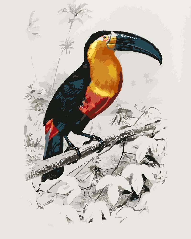 Malen nach Zahlen - Tukan (Ramphastos) illustriert von Charles Dessalines D_ Orbigny, mit Rahmen von CC0