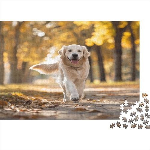 Golden Retriever Puzzle 1000 Teile - Puzzle Für Erwachsene, Puzzle, Puzzlespiel Erwachsenen Puzzlespiel Puzzel 1000pcs (75x50cm) von CEJORUVAX