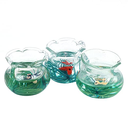 CENPEK Goldfischglas mit Fischglas, 1:12, 3 Stück CENPEK Goldfischglas mit Fischglas, 1:12, 3 Stück von CENPEK