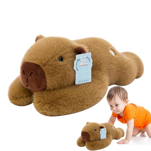 CGACCSD Gefüllte Capybara, Capybara Plüsch - 11.81in niedliche Capybara Sticky Plüschspielzeug - Zimmerdekoration, huggierbare weiche Tierpuppe, Kissen für Wohnzimmer Schlafzimmer werfen von CGACCSD