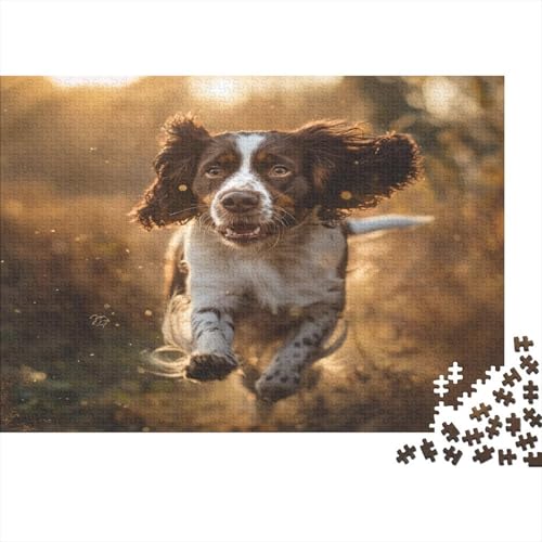 Englischer Springer Spaniel 1000 Teile Puzzle Für Erwachsene, Hochwertige Recycelbare MateriAußerirdische Und Druck Puzzlespiel, Familienspiel, Für Liebhaber Oder Freunde Puzzel 1000pcs (75x50cm) von CHCAIOVO