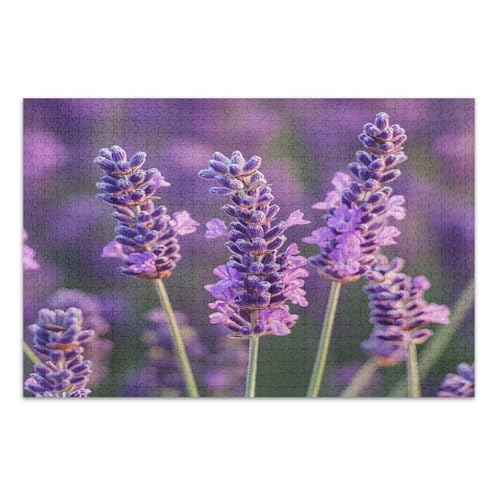 Puzzles für Erwachsene, 1000 Teile, violette Lavendelblumen, einzigartige Puzzles, lustige und farbenfrohe Kunstwerke, fertige Größe 75 x 50 cm von CHIFIGNO