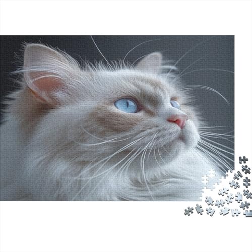 Cute Blue Eyed Kat Puzzlespiel 1000 Teile Puzzle Für Erwachsene Und Kinder Ab 14 Jahren, Puzzle-Motiv Erwachsenen Puzzlespiel Puzzel 1000pcs (75x50cm) von CHUIYUFULAN