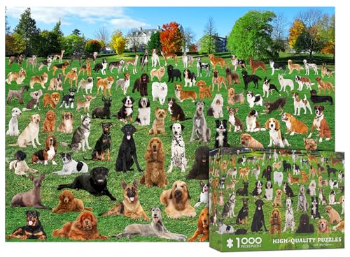 1000 Teile Puzzles für Erwachsene-101 Rasenwelpen Puzzles für Erwachsene 1000 Teile Hunde Park Puzzles 1000 Teile für Erwachsene 101 Welpengruppe Fotopuzzle 1000 Teile 1000 Teile Puzzle Hund von CHengQiSM