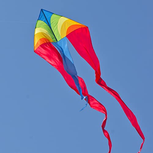 CIM Einleiner-Drachen - F-Tail Dart Rainbow - für Kinder ab 12 Jahren - Abmessung: 200x680cm - inkl. 60m Drachenschnur von CIM