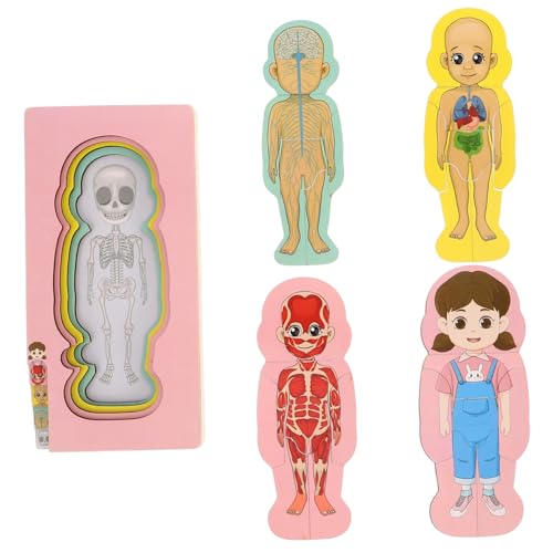 CIYODO Anatomie Puzzle Für Körperpuzzle Aus Holz Für Kleinkinder Früherziehung Montessori Für Jungen Und Mädchen von CIYODO