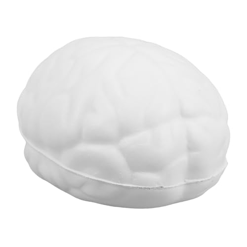 CIYODO Gehirndruckball Stressbälle Stressball Favor Squishy Brain Stress Gehirnform Relax Stressball Stressabbau Gesichts Stressball Quetsch Stressball Weiß von CIYODO