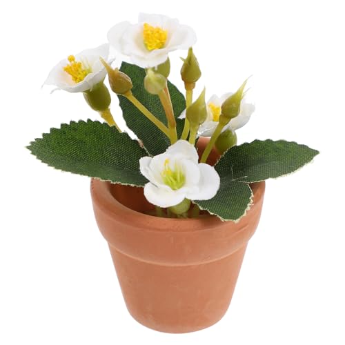 CIYODO Mini Künstliche Pflanzen Blumendekor Mini-töpfe Blumentopf-pflanztöpfe Mini-topfpflanze Mini-dekor Gefälschte Blumen Im Freien Miniatur-puppenhaus Zimmerbonsai Weiß Plastik von CIYODO